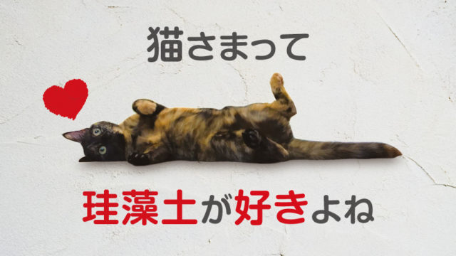 猫が撫でられて喜ぶところ嫌なところ おビビの場合 ネコーズブログ