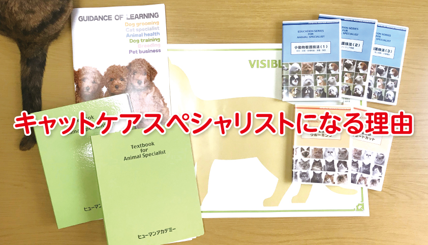 中古】資格を取ろう スペシャリストへのすすめ '９５年度版最新情報版