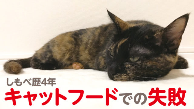 一人暮らしで猫を迎えて起こった生活の変化 ネコーズブログ