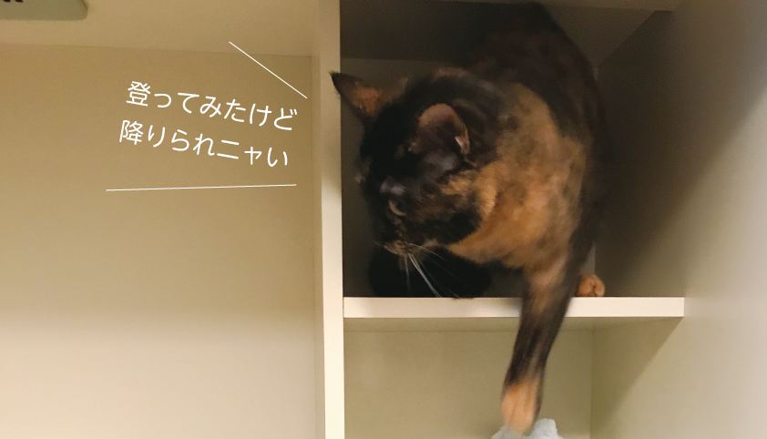 降りれない