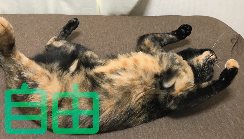 自由な猫
