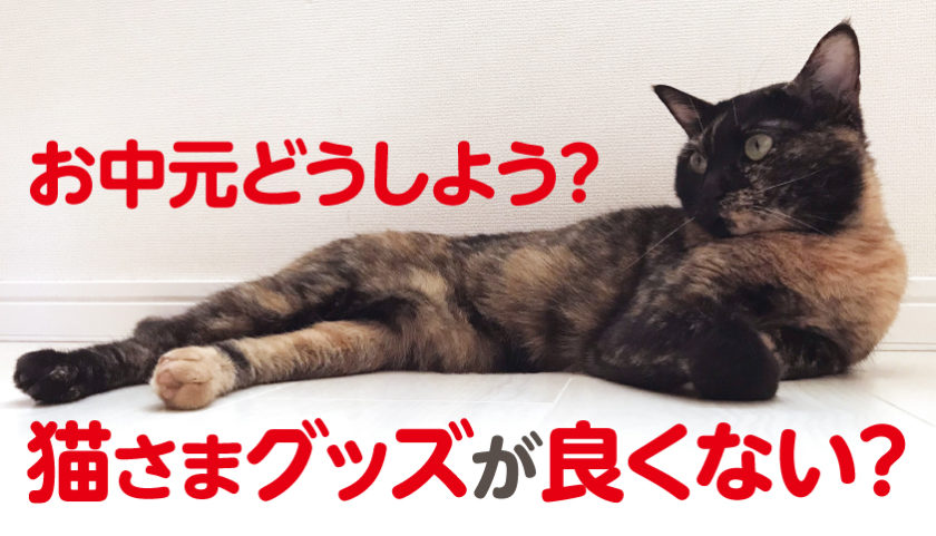お中元・夏ギフトにもらえたら嬉しい猫用グッズ 5選｜ネコーズブログ