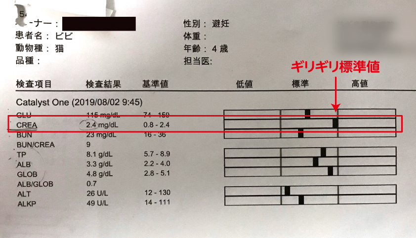 猫 クレアチニン 数値