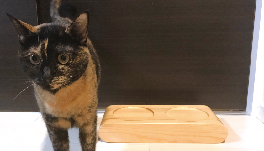 まんま台 サビ猫