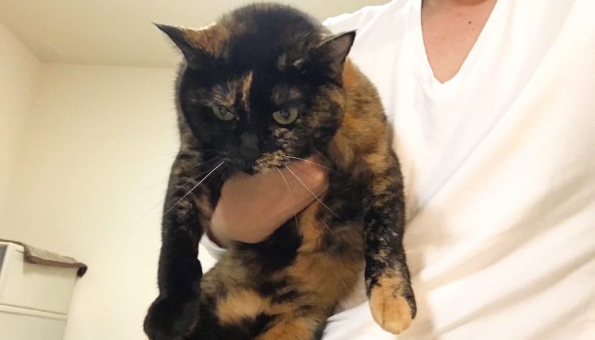 抱えられたおビビ